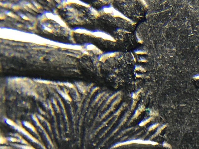 2008-P-Arizona-State-Quarter-That-Has-3-Errors-On-The-Reverse?