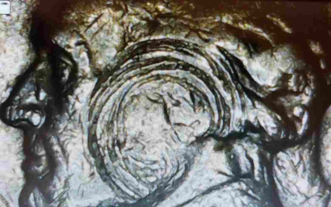 1979-D-Jefferson-Nickel-With-Swirl-On-Obverse