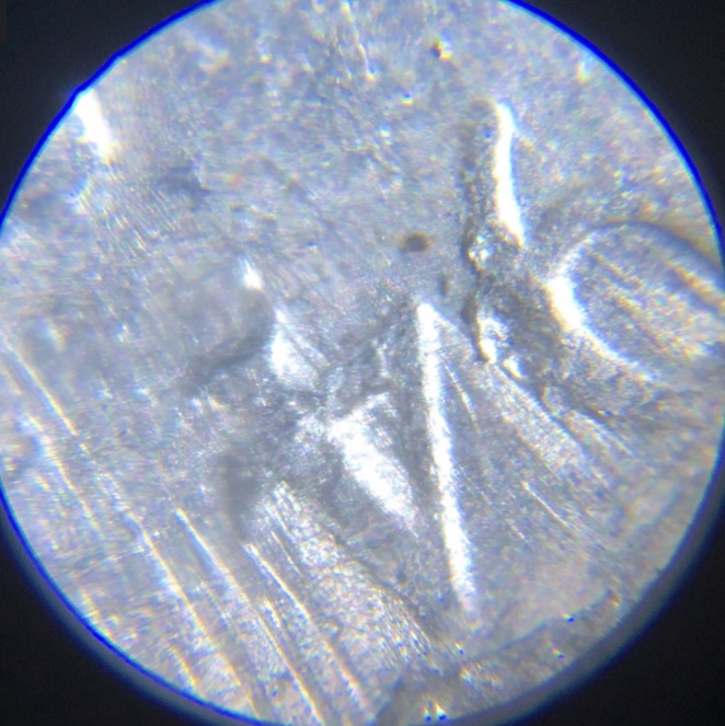 1994-D-Nickel-With-Icicles?