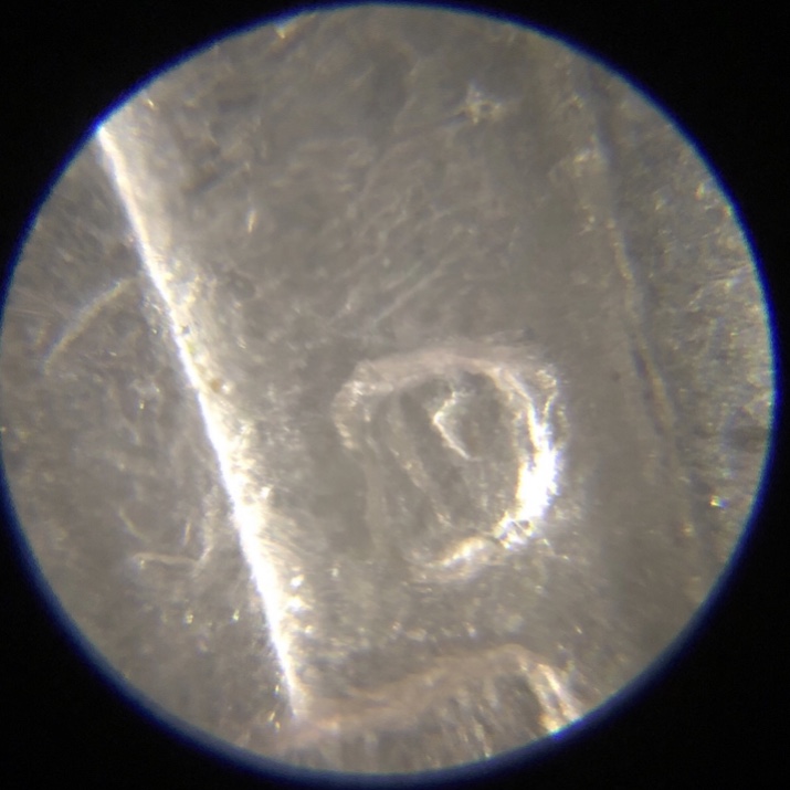 1962-D-Nickel-RPM?-Never-Found-One-Before.