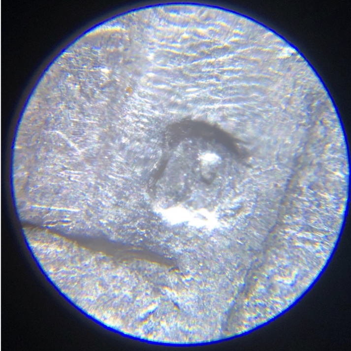 1962-D-Nickel-RPM?-Never-Found-One-Before.