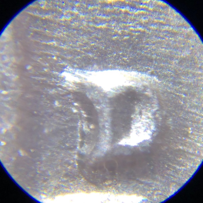 1958-D-Jefferson-Nickel-RPM?