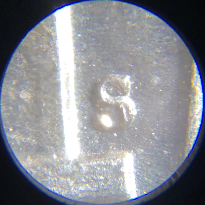 Gold-Toned-1954-S-Nickel-OMM?