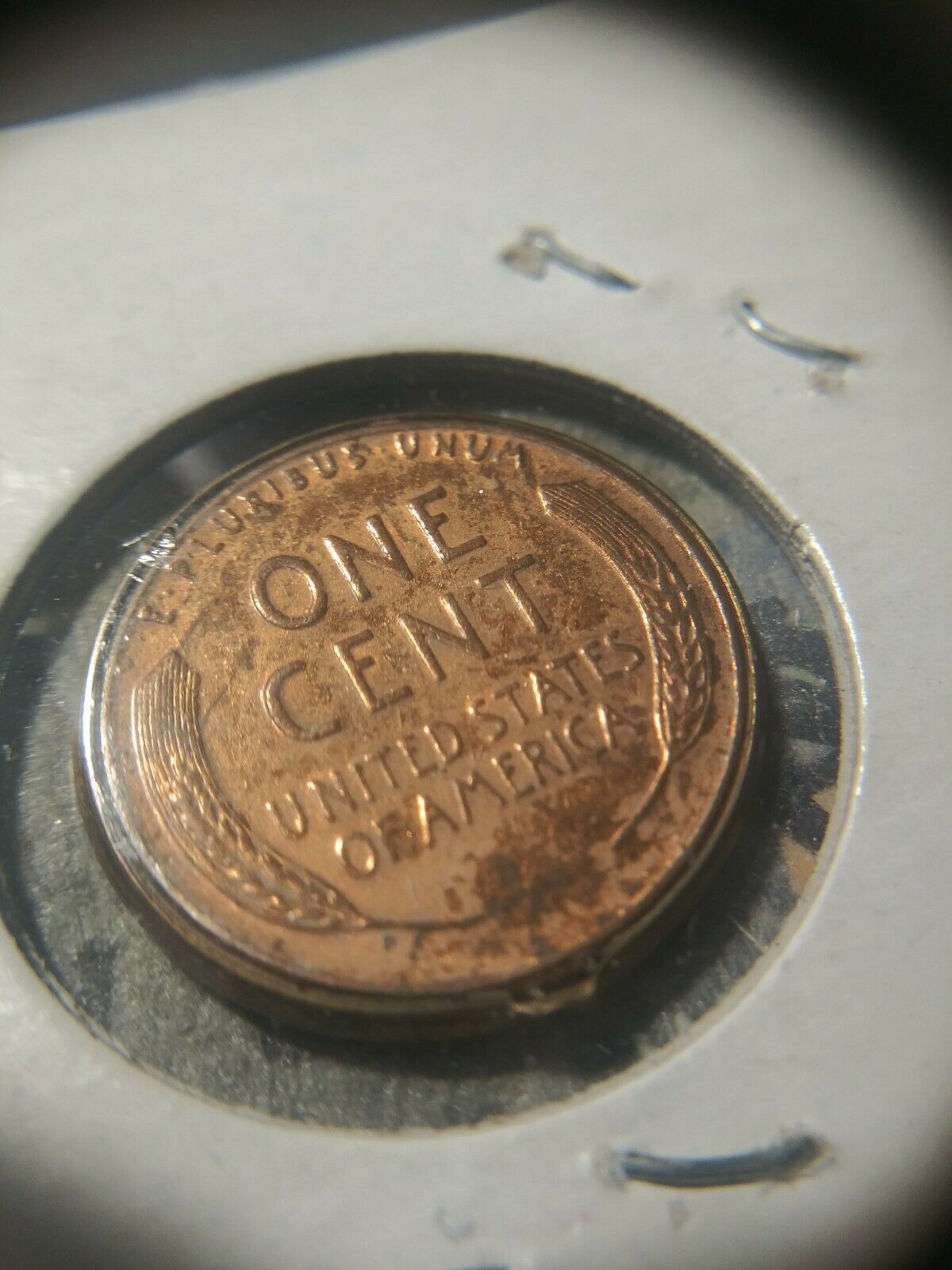 Strike-Error-On-1956-Wheat-Cent?
