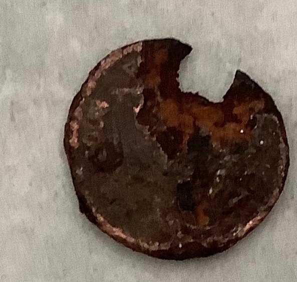 OH-Dear.-This-Poor-Penny.