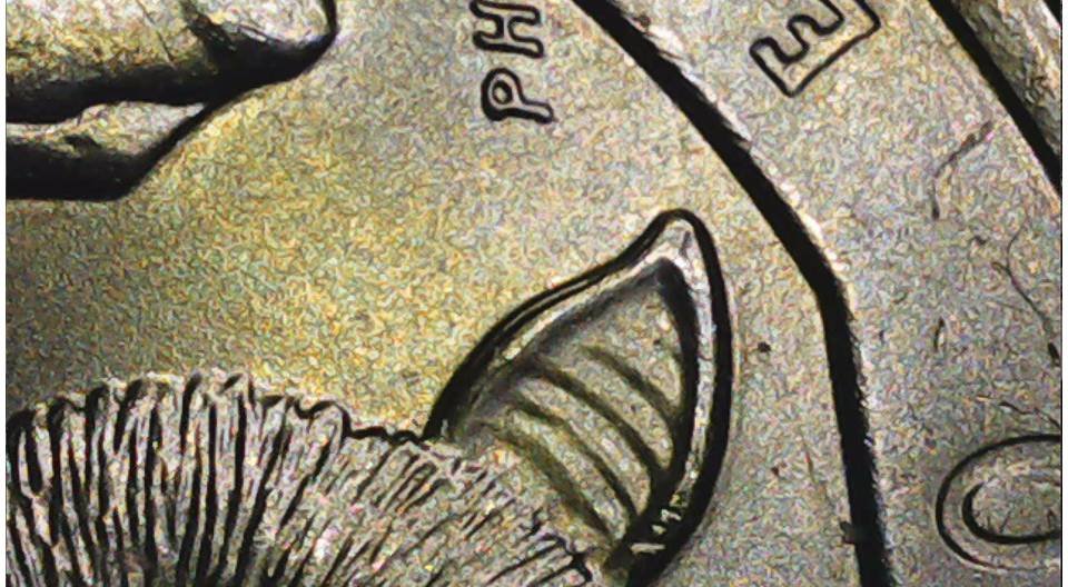 Samoan-Quarter-Reposted-With-Correct-Pics