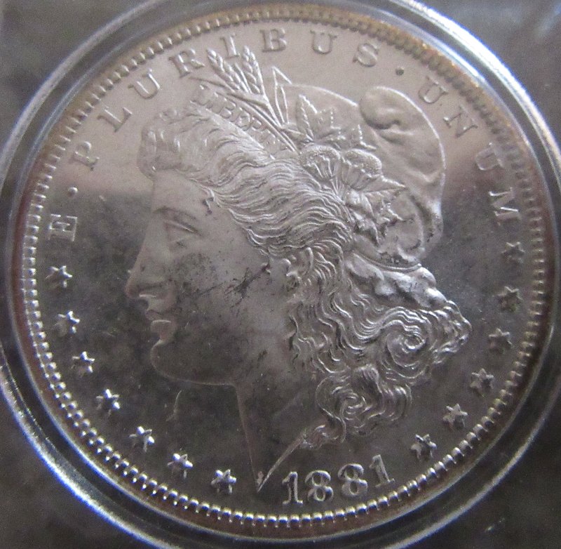 1881-S-Morgan-For-Grade---And---Is-This-A-Pl,-DMPL-Or-Not?