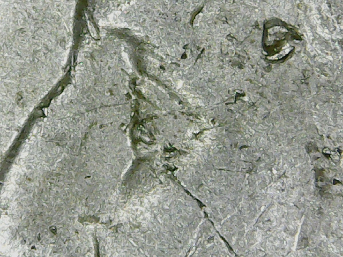 2007-Utah-State-Quarter