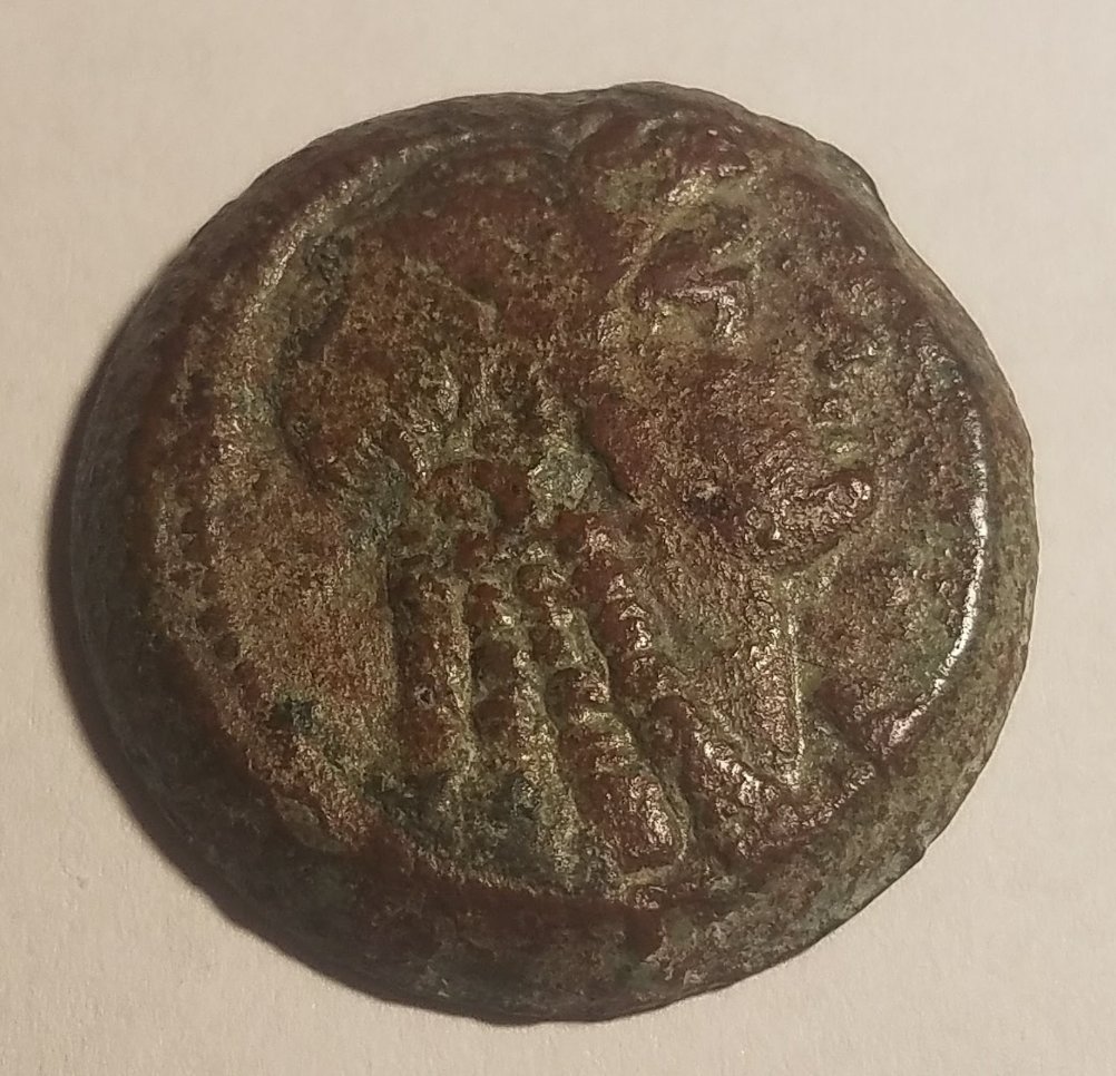Ancient-Bronze-Coin,-Unsure-Of-Origin