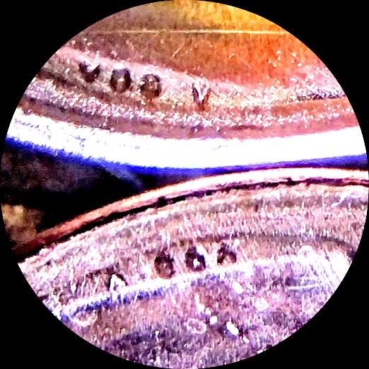 2023-Penny-Extra-V-Error?