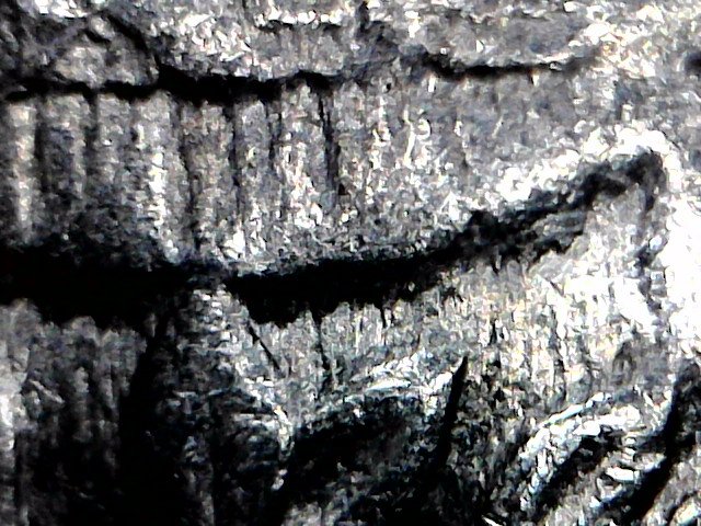 1997-P-Quarter---Die-Break,-Cud,-Feeder-Finger-Damage--Need-Diagnosis
