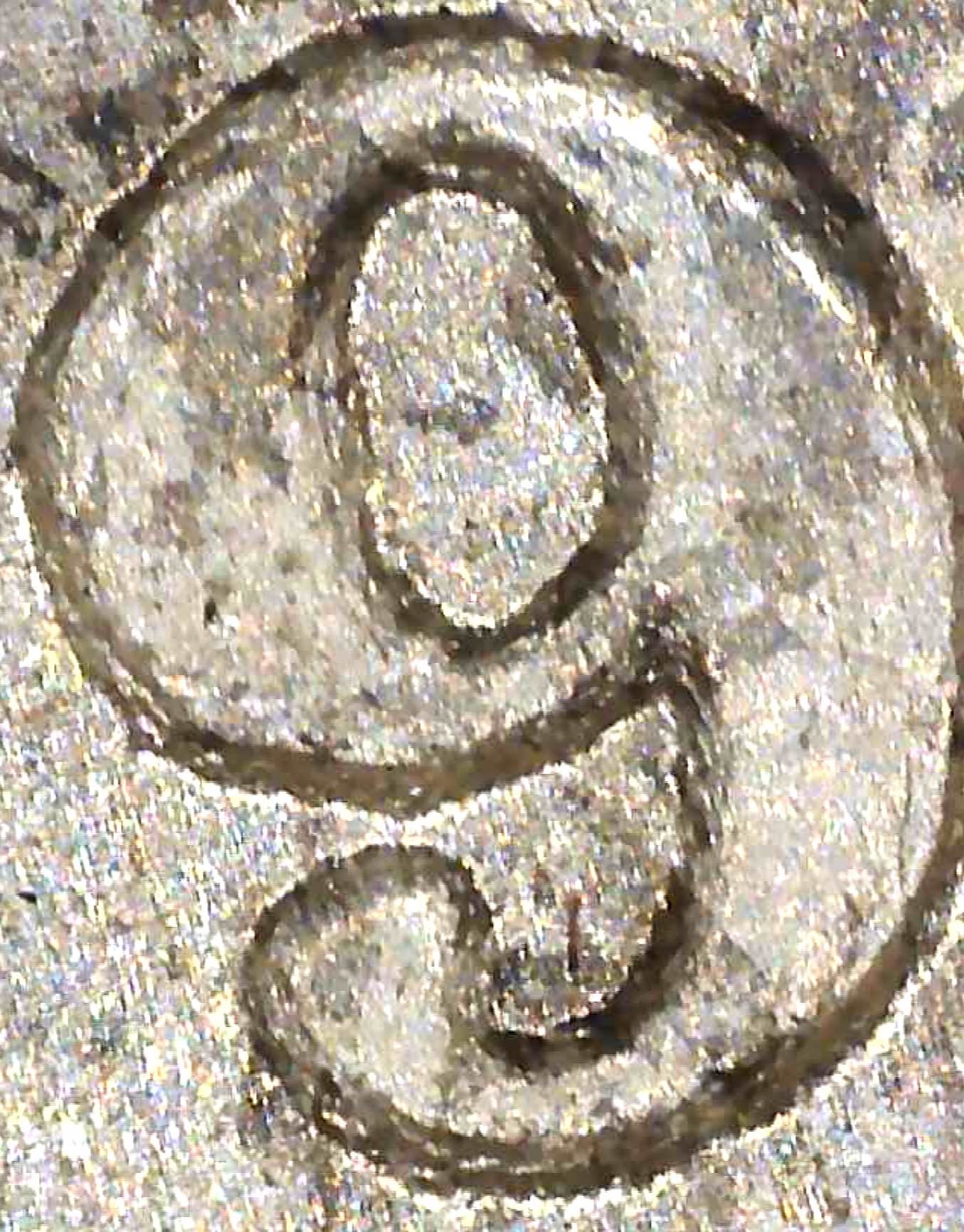 1879-CC-Morgan-Silver-Dollar-VAM-6.