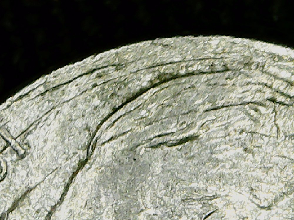 1999-P-Jefferson-Nickel-With-Some-Kind-Of-Doubling,-Need-Help-Please.