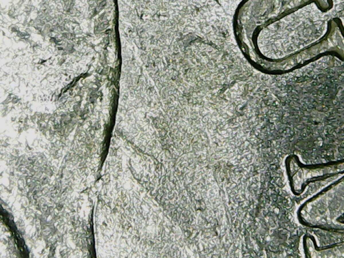 1982-O-Morgan-Dollar-Help-Please.-The-Reverse-Has-More-Of-Whatever-This-Is.