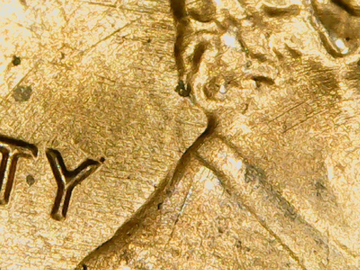 1983-Lincoln-Memorial-Cent.-Need-Help-Identifying-What-Double-Die-It-Is-Or