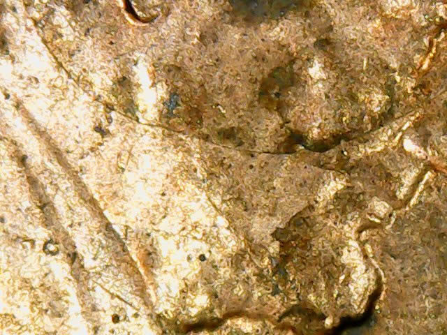 What-Is-Going-On-With-This-2018-D-Shield-Cent?