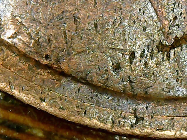 1977-Lincoln-Memorial-Cent-Weighs-Approximately-2.5-Grams!