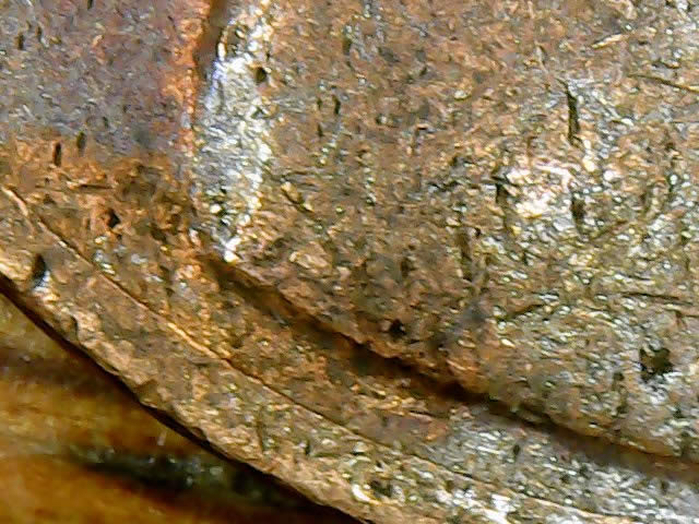 1977-Lincoln-Memorial-Cent-Weighs-Approximately-2.5-Grams!