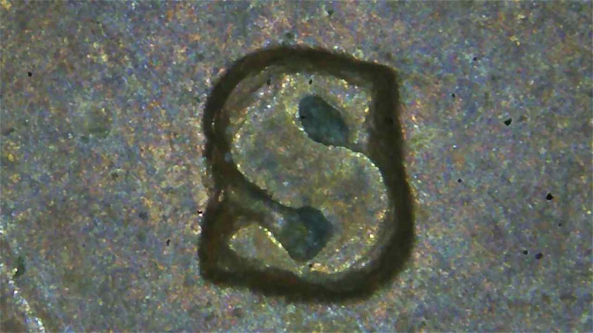 Is-This-An-Unusual-Mint-Mark-Style-For-This-1974-S-Business-Strike-LMC?