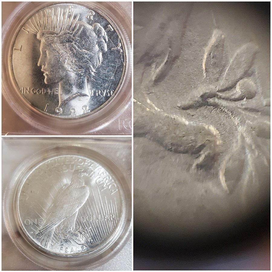 Does-This-Look-Like-A-Detached-Olive-Branch-On-This-1922-D-Peace-Dollar?