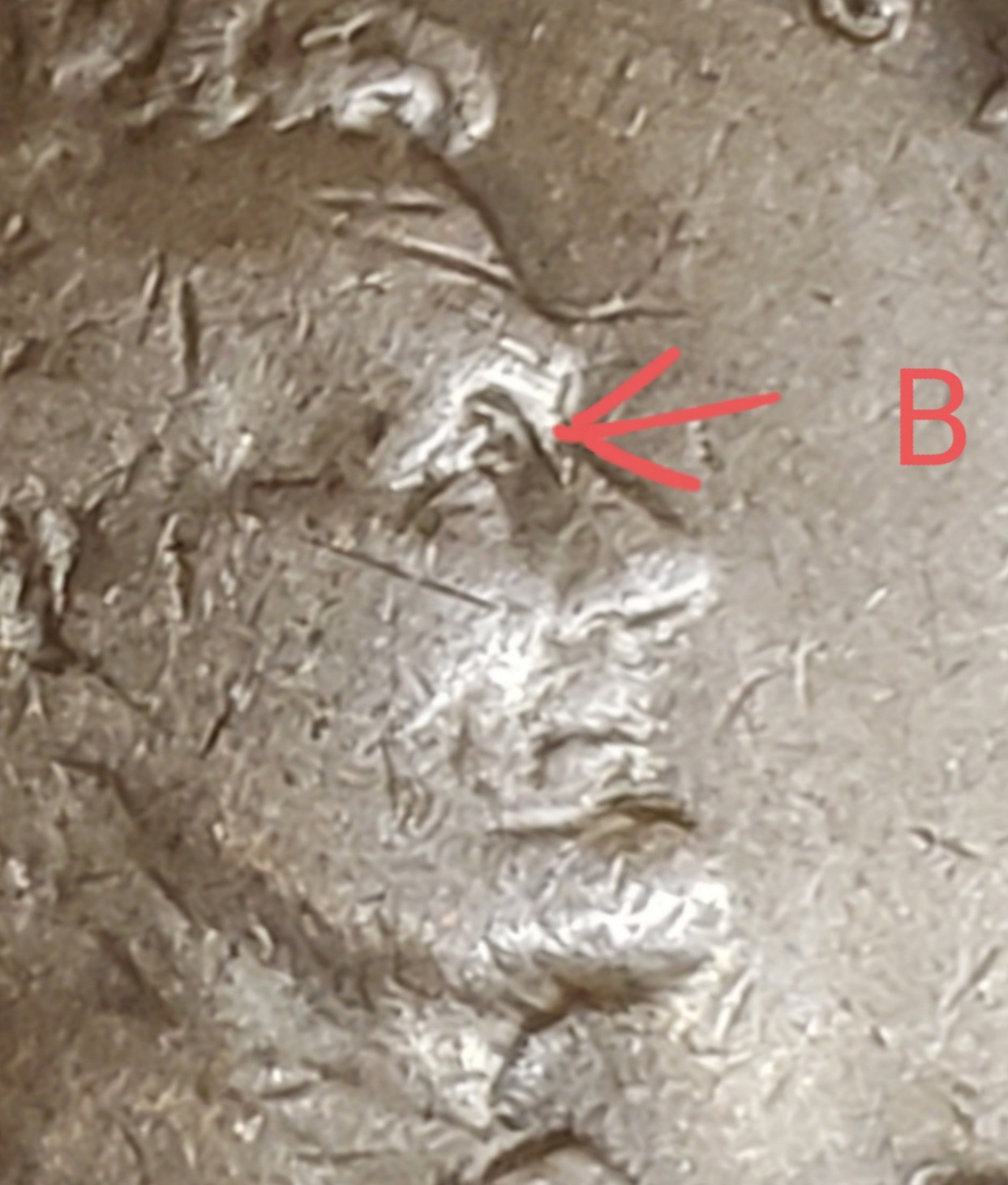 1927-D-DDO-Wheat-Pennies,-Comparing-Die-Stages?