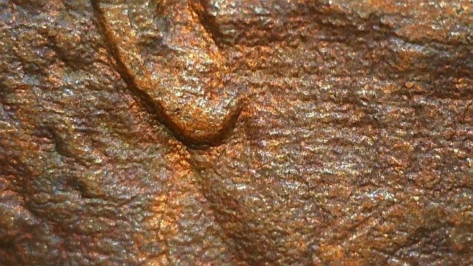1984-D-Lincolm-Memorial--Cent