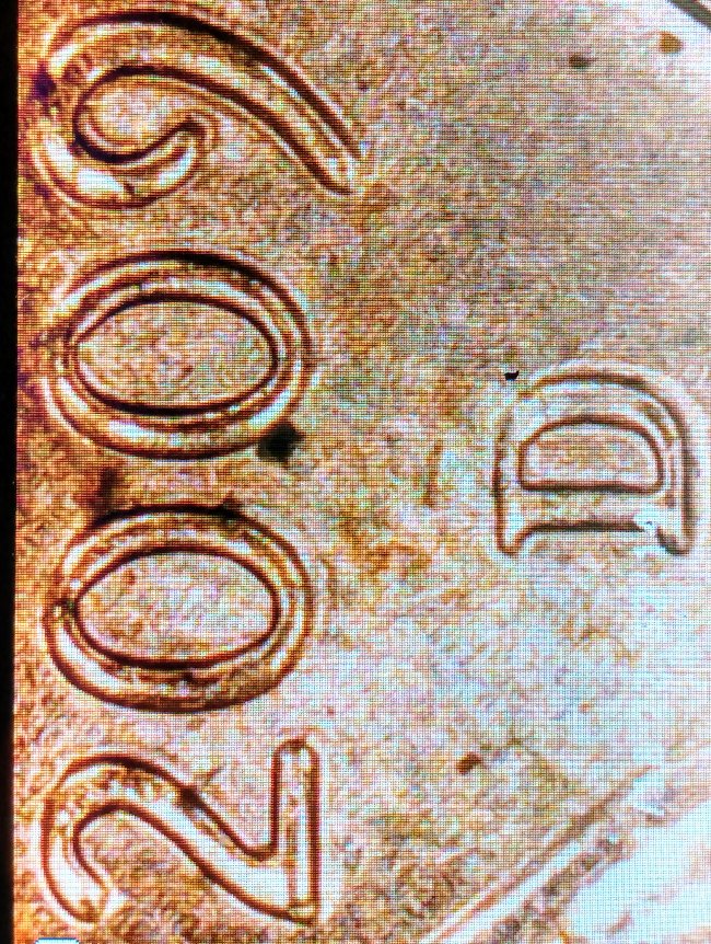 2009-D-Lincoln-Cent-Is-This-Doubling-I'm-New.