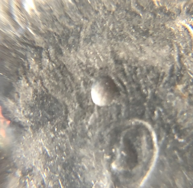 1980-D?-Kennedy-Half-Dollar-With-Strange-Smooth-Dents.-Error-Or-PMD?