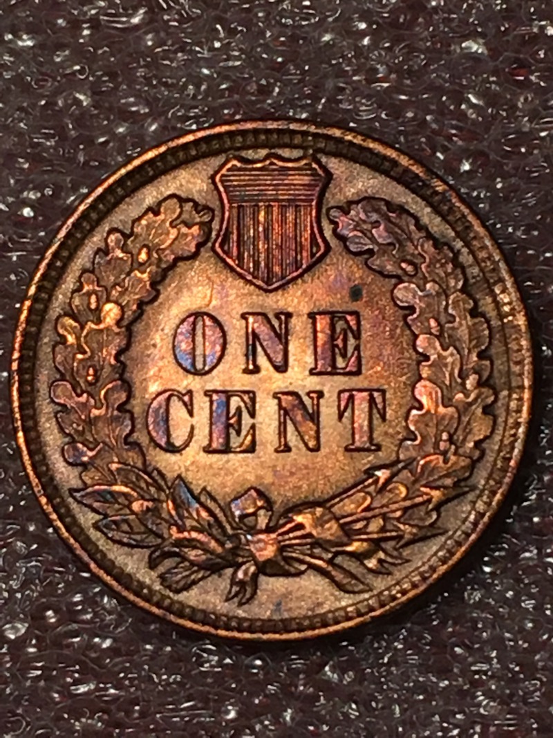 1902-Indian-Head-Cent-For-Grading