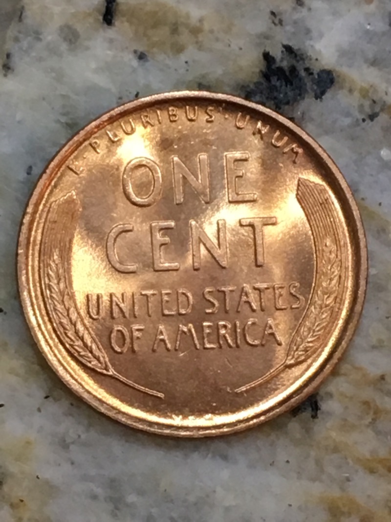 1909-VDB-Wheat-Cent-For-Grading