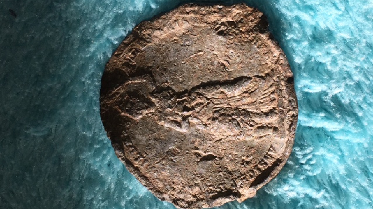 Unknown-Coin-Found-By-Metal-Detector-In-Austria