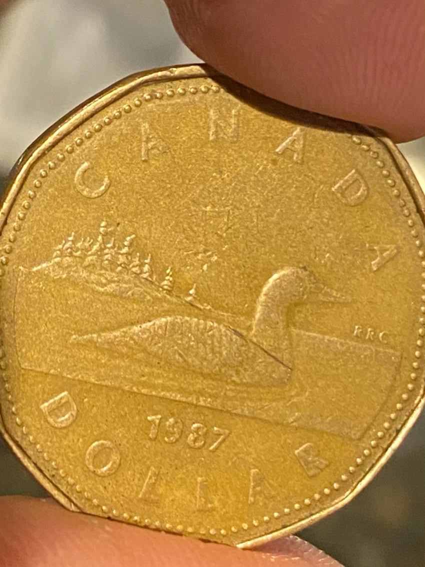 1987-Loonie-Stamping-Error?