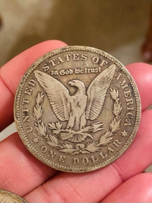 Details-Requested-For-1884-Silver-Dollar