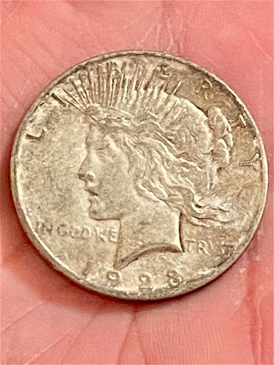 Help-With-1928-Peace-Dollar-Error?