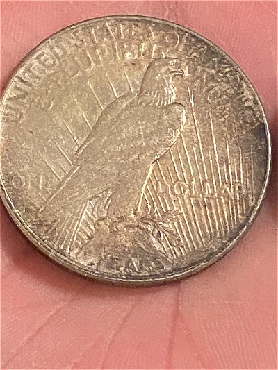 Help-With-1928-Peace-Dollar-Error?
