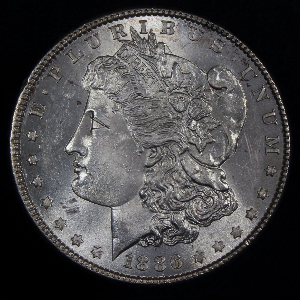The-28-Days-Of-Morgan-Dollars-Part-4