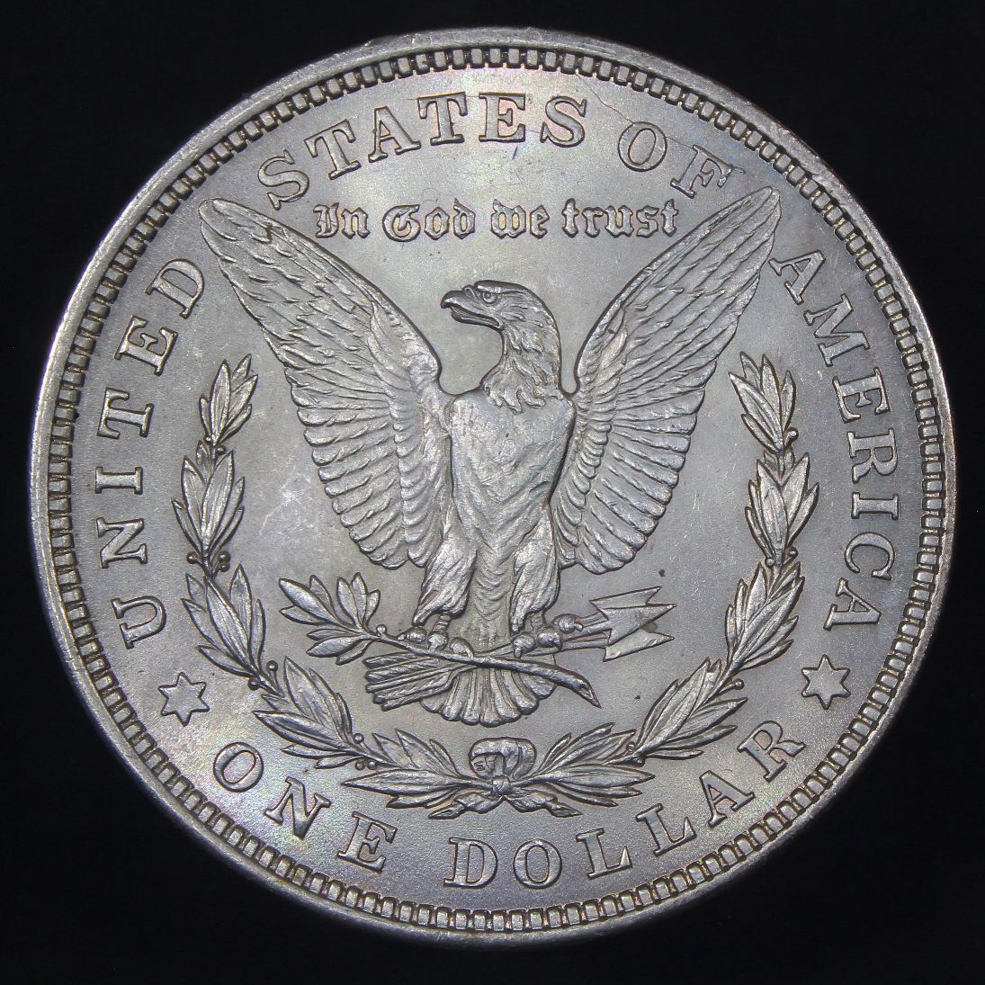 The-28-Days-Of-Morgan-Dollars-Part-4