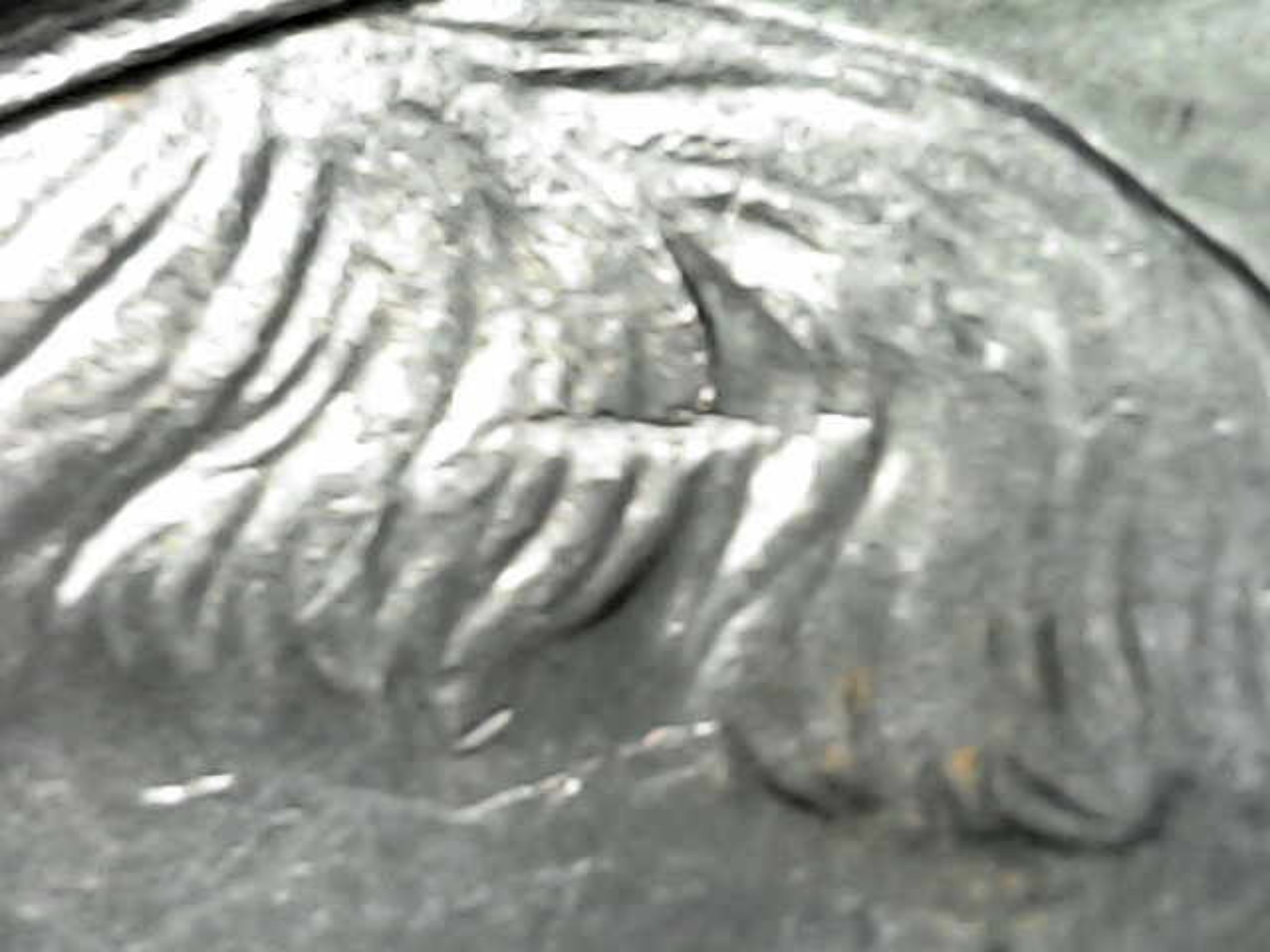 2007-P-Nickel-What-Do-You-Call-This?