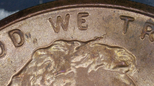 2017-P-Lincoln-Shield-With-Obverse-Die-Break