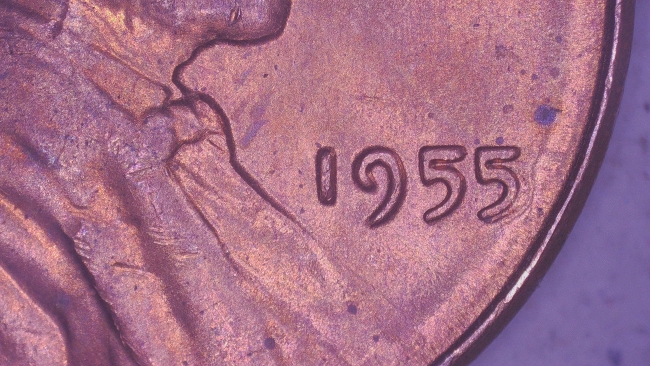 1955-P-LWC-Potential-WDDO-003