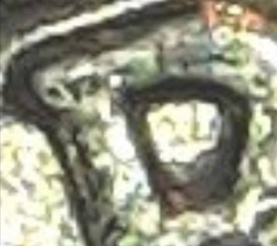 1964-D-Nickel-Please-Help.