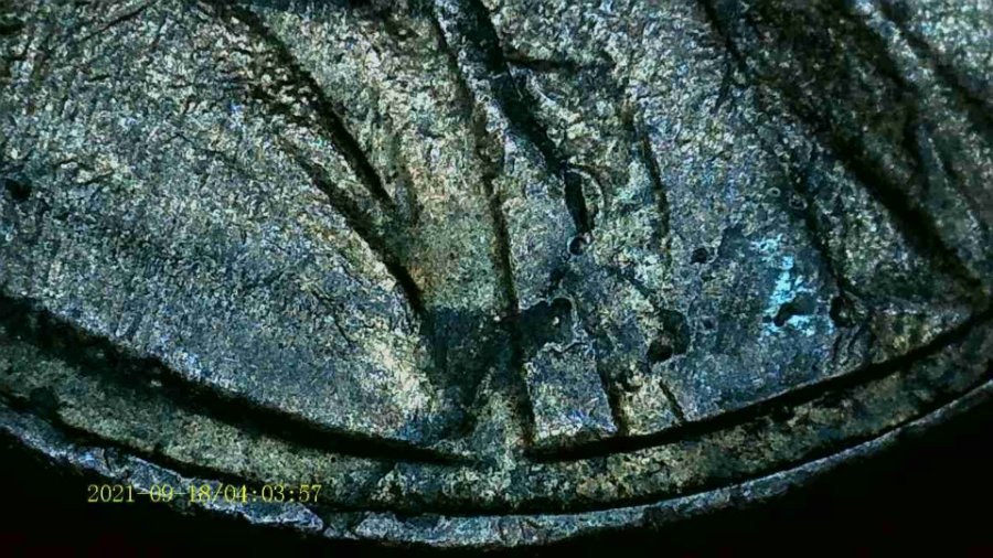 1983-Lincoln-Cent.-Multiple-Errors/Identification