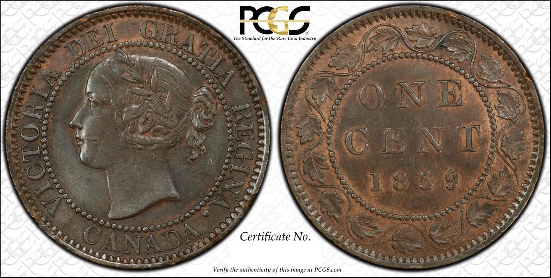Let's-See-Your-1859-Re-Punch-9's