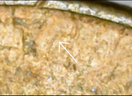 1953-Lincoln-D-Wheat-Penny-Errors