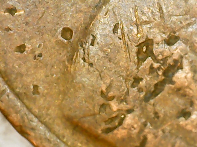 1981-Lincoln-Mint-Die-Problem?