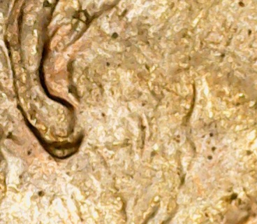 2008-Lincoln-Ear-Error!