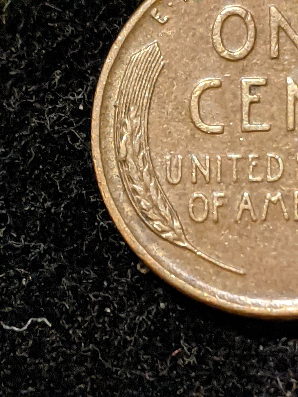 1951-D-Penny,-Cud-On-Reverse?