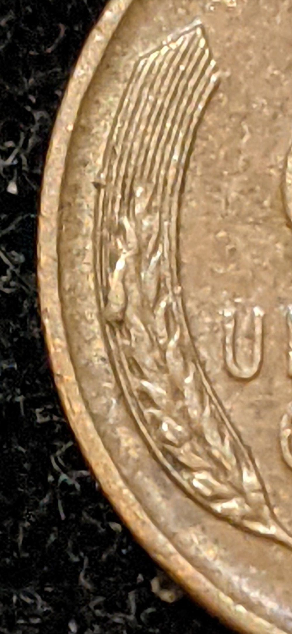 1951-D-Penny,-Cud-On-Reverse?