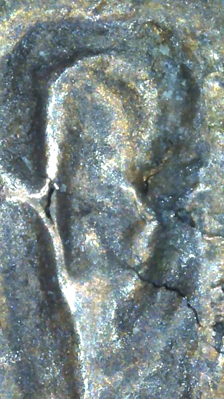 Curious-About-1984-Lincoln-Penny