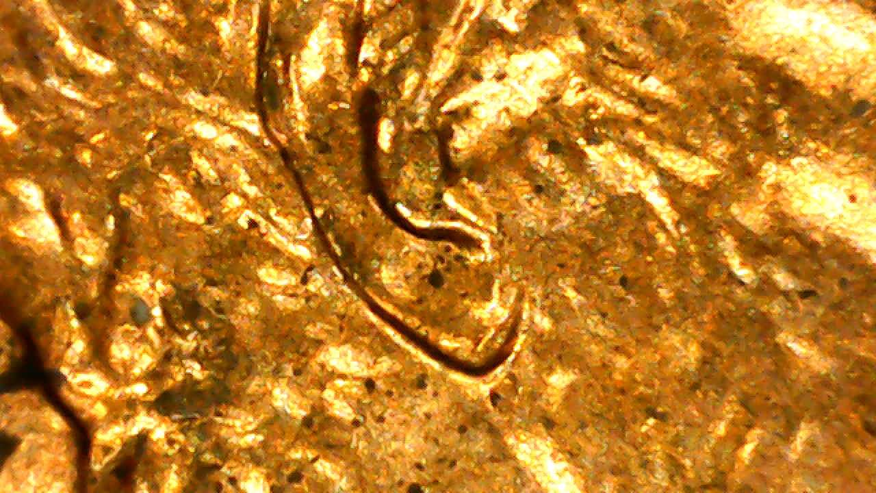 DD,-MD-Or-Nothing?-2007-Lincoln-Mem.-D-Cent